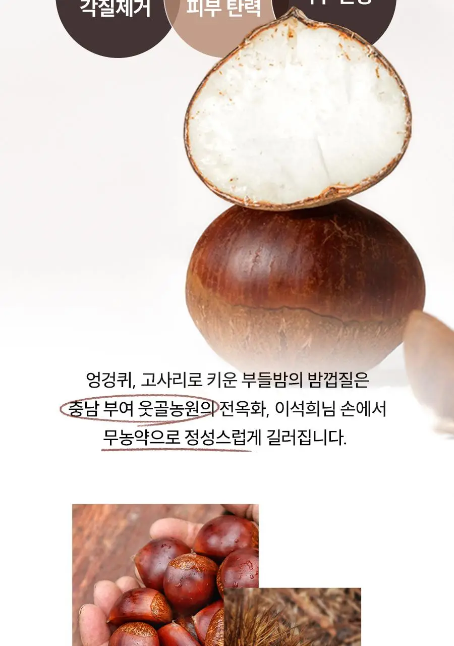 [모공쫀쫀]한율 부들밤 말끔/깔끔 모공팩 100ml (15ml+모공패드 4매)기획 택1 상세페이지 13
